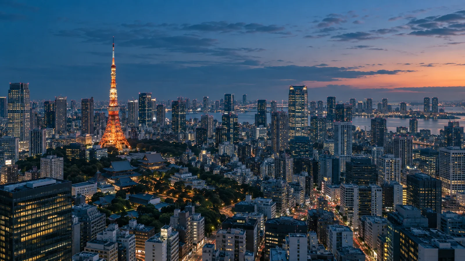 Tokyo city view in natural travel light