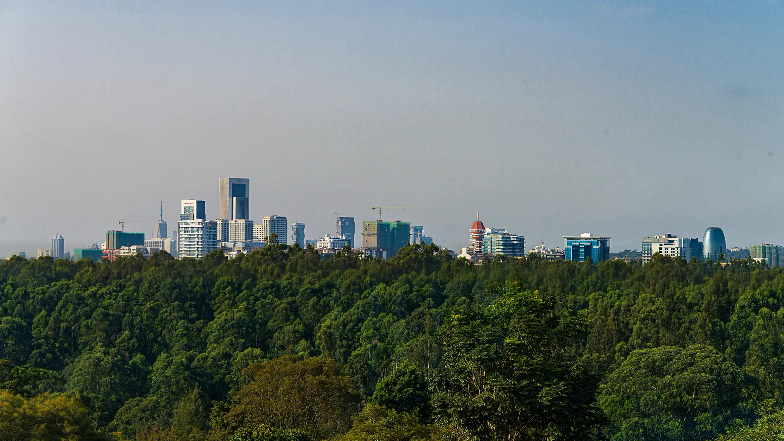 Nairobi city view