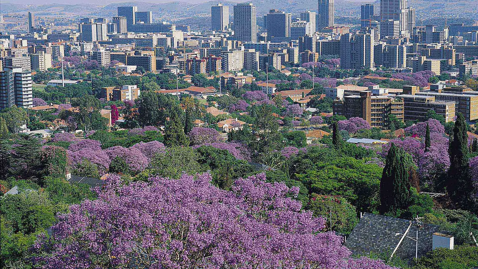 Pretoria city view